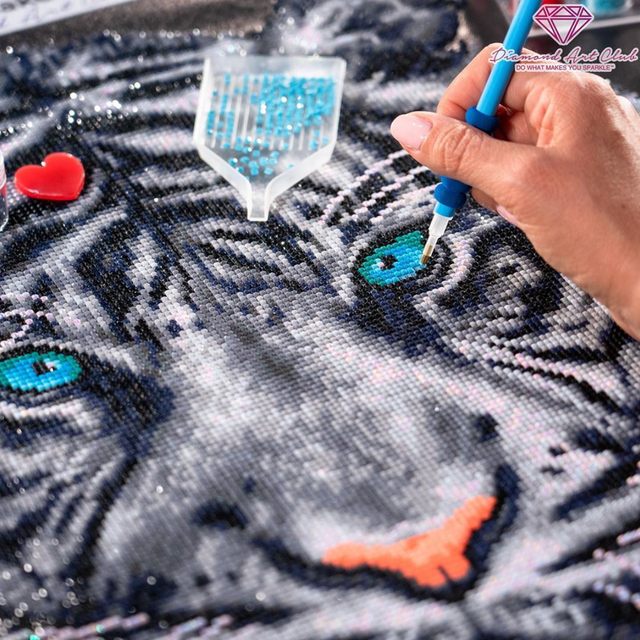 Share your masterpiece